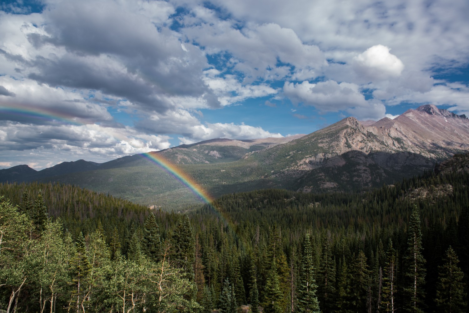 _DSC4516